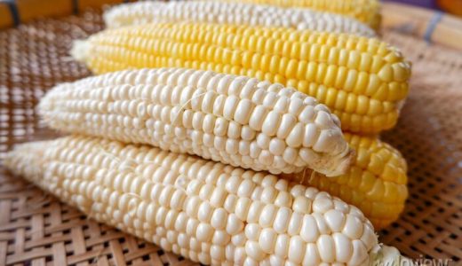Mais jaune et blanc